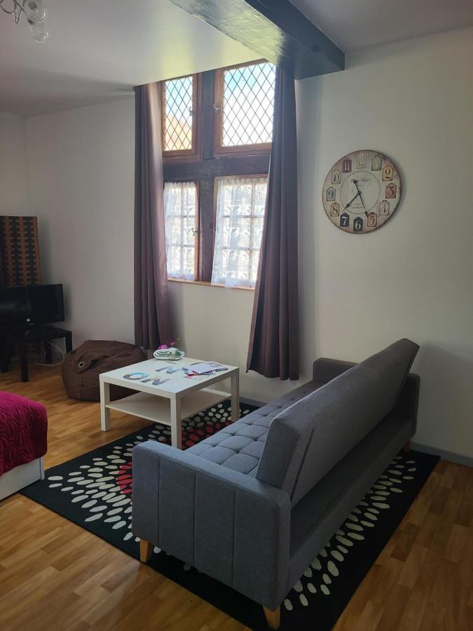 Appartement Du Vieux Troyes Esterno foto