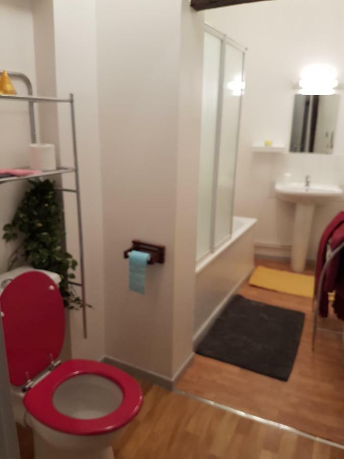 Appartement Du Vieux Troyes Esterno foto